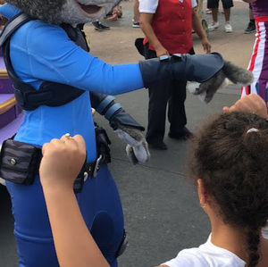 Meet your Posher, Ilca